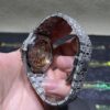 0013 Audemars Piguet 15500 White Big Stone Bezel & Case Big Stone Band